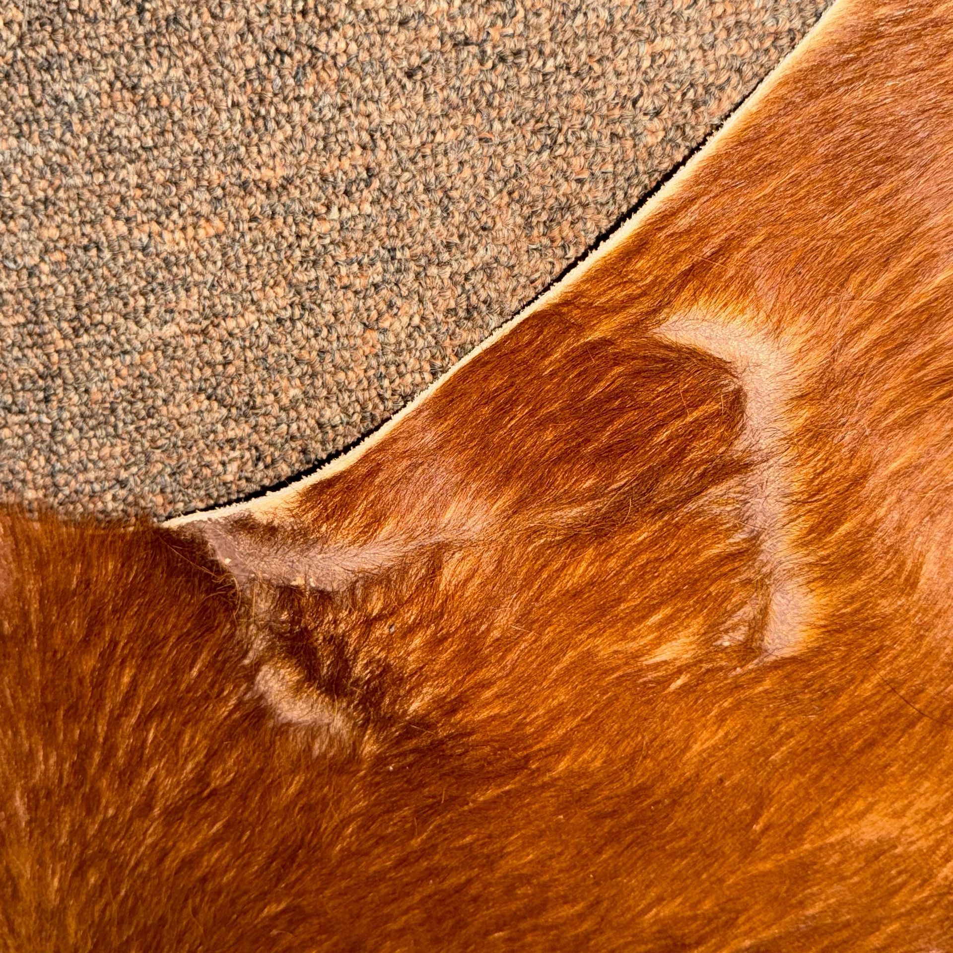 Genuine Cowhide Rug IKEA KOLDBY Natural Hide - photo 2