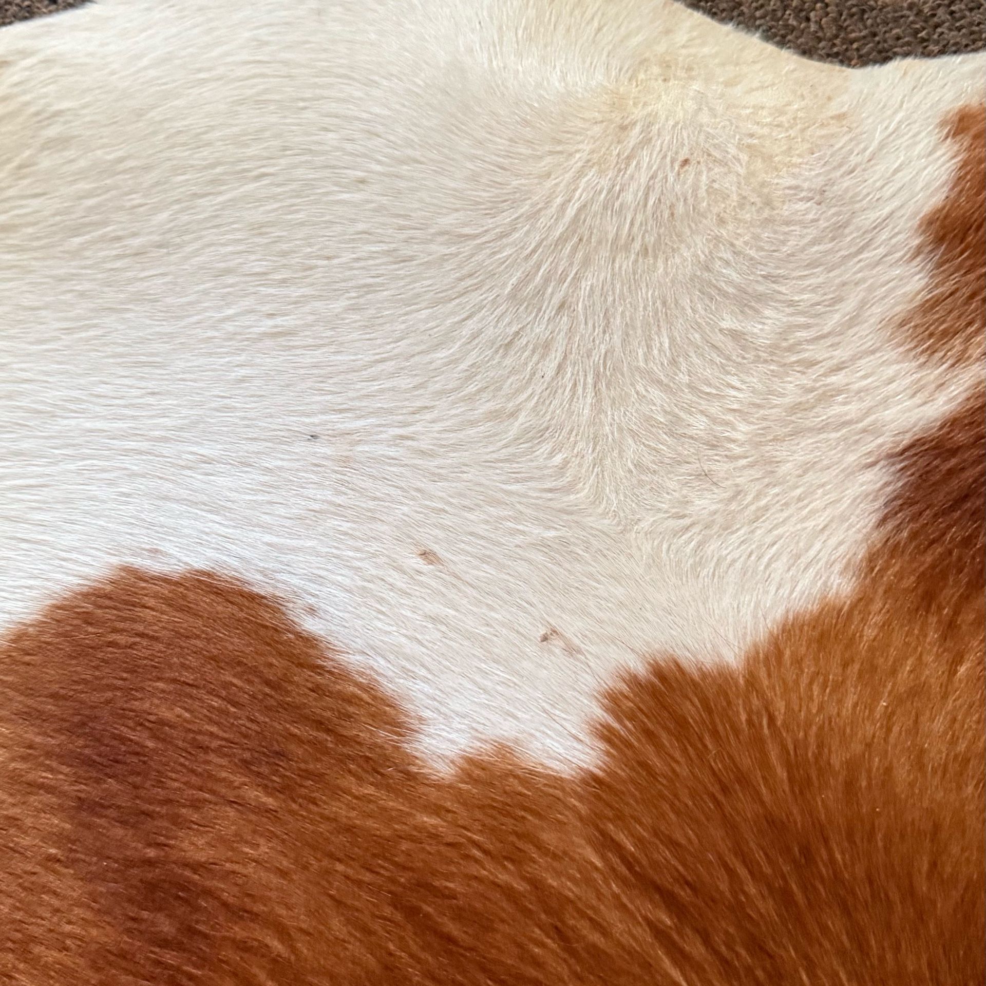 Genuine Cowhide Rug IKEA KOLDBY Natural Hide - photo 5