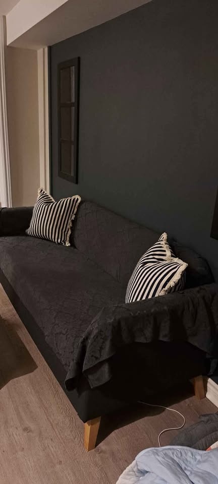 Dark Gray Couch - Ikea linanas (Price Negotiable) - photo 5
