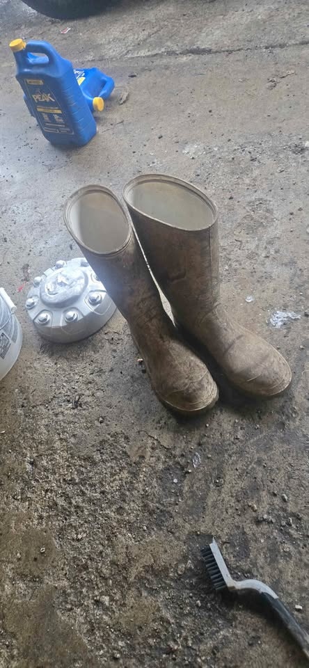 George Men's Oil & Acid Resistant Dairy Boots🏆