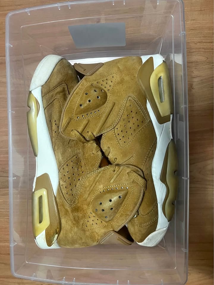 Jordan 6 Wheat (10.5 M)