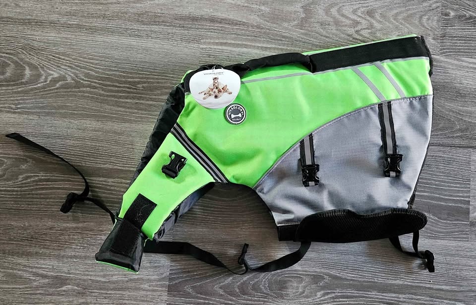 XL Green Dog Lifejacket