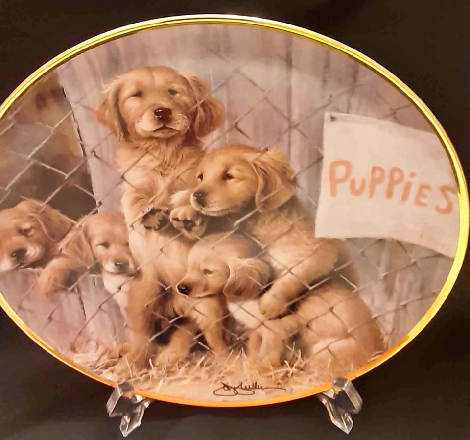 Franklin Mint Limited Edition Collector Plate🏆