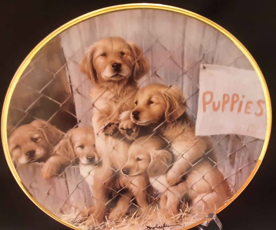 Franklin Mint Limited Edition Collector Plate🏆 - photo 2