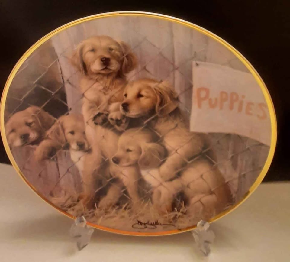 Franklin Mint Limited Edition Collector Plate🏆 - photo 3