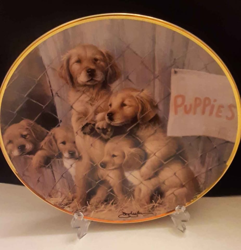 Franklin Mint Limited Edition Collector Plate🏆 - photo 4