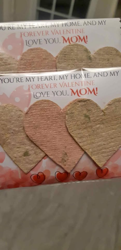 Gift for MOMs on Valentine's Day 💗 Plantable seeds paper hearts!