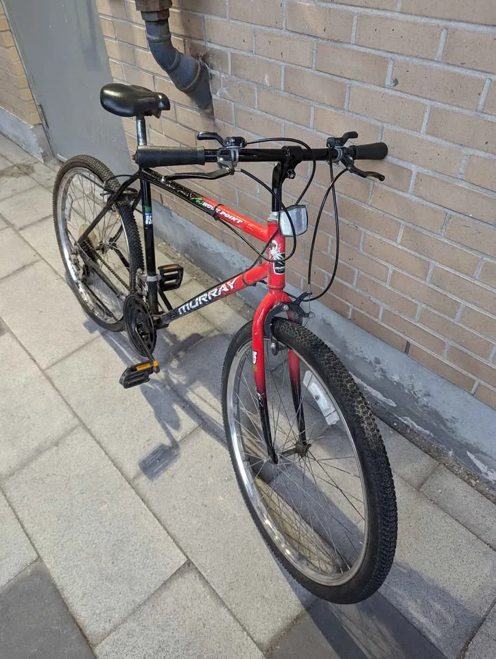 Mountain Bike (rear wheel need replacement) 🥕 image indicator(2)