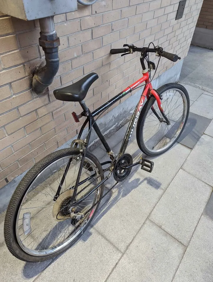 Mountain Bike (rear wheel need replacement) 🥕 image indicator(3)