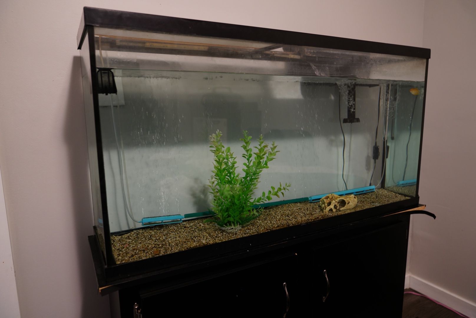 60 Gallon Fish Tank with Stand and Accessories - photo 2