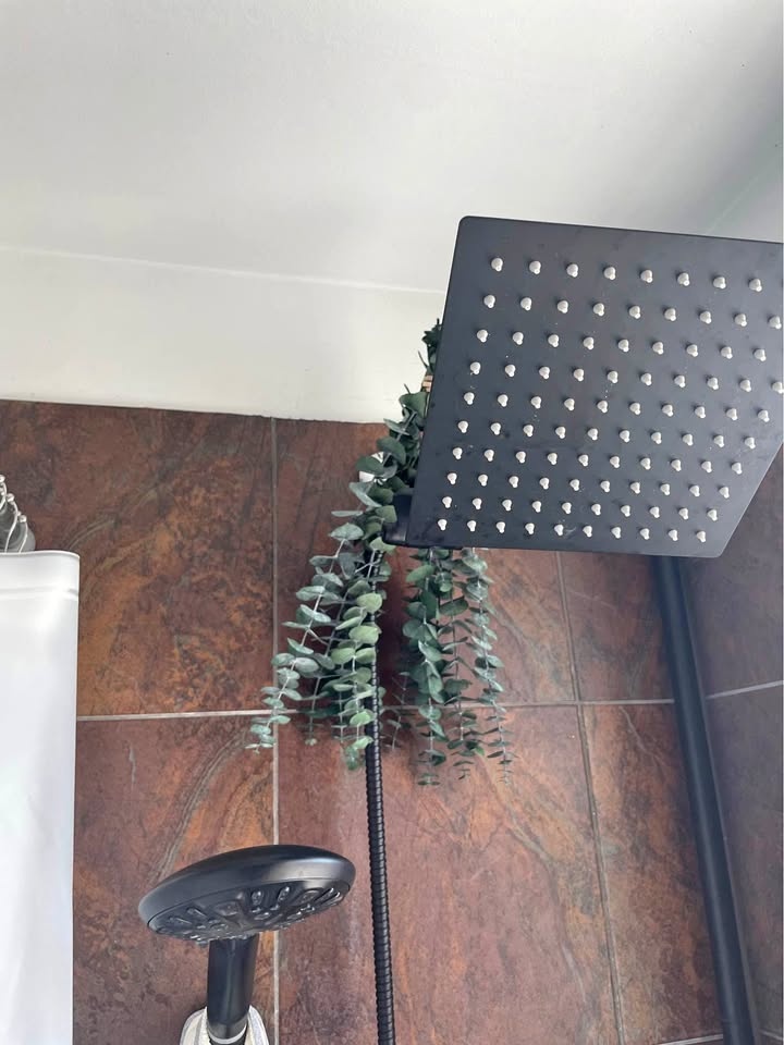 NEW Dried Eucalyptus Stems 17"