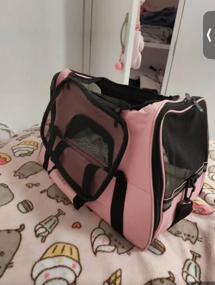 Pink Cat/Small Dog Carrier - Never Used