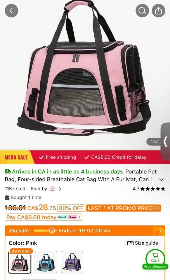 Pink Cat/Small Dog Carrier - Never Used - photo 2