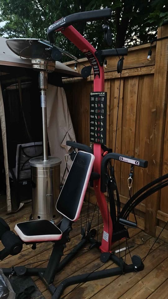 Bowflex PR3000 Home Gym - photo 3