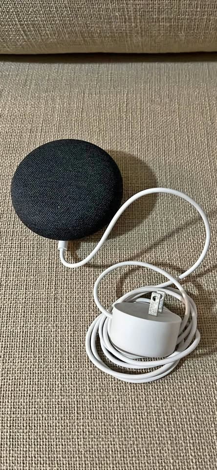 Google Home Mini