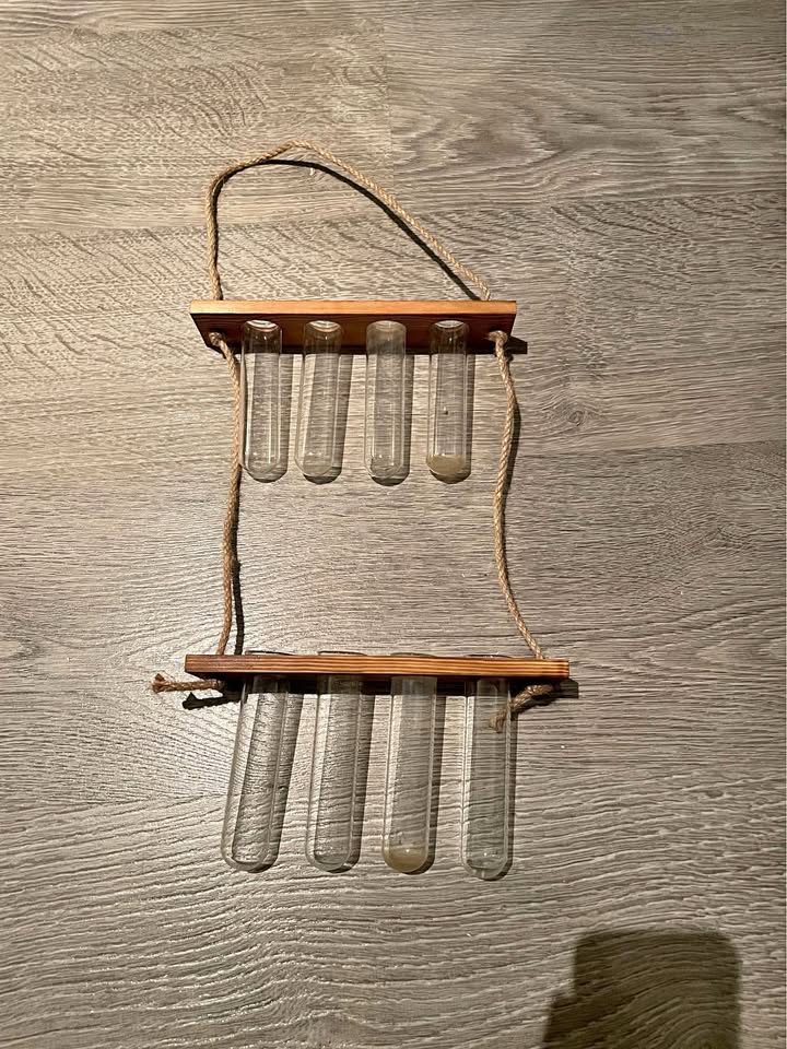 Plant Propagation Wall Hanger Decoration