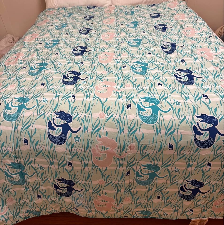 Comforter Set. Size Twin.