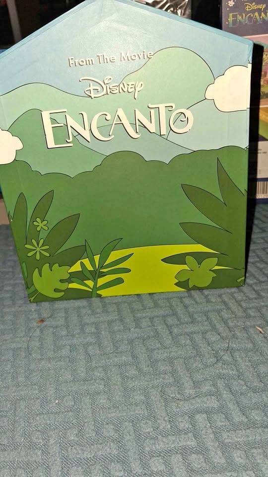 Disney's Encanto Jewelry Box