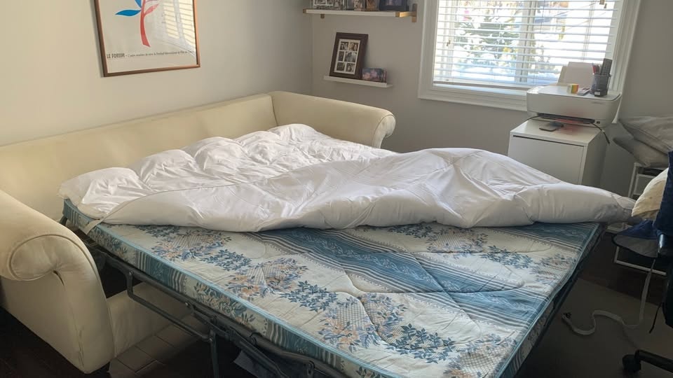 Ivory Pull-Out Sofa Bed - Full Size - photo 2
