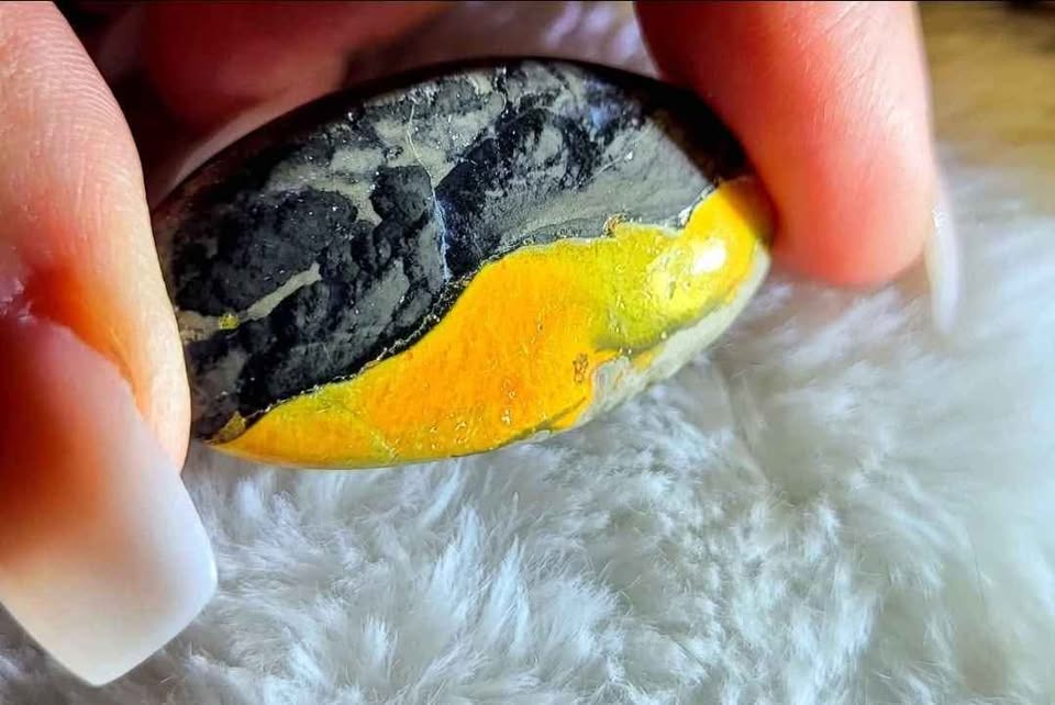 Bumblebee Jasper Cabochons - photo 3
