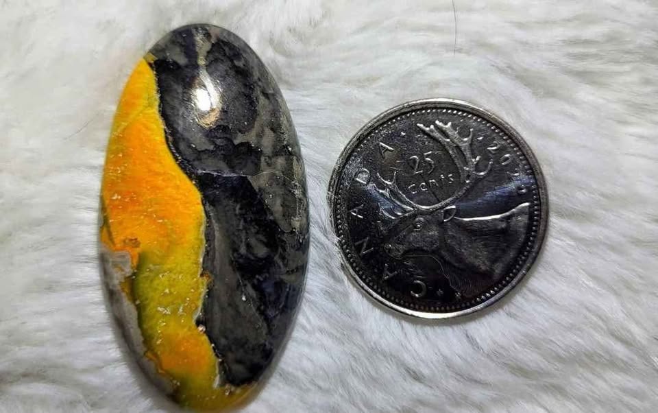 Bumblebee Jasper Cabochons - photo 5