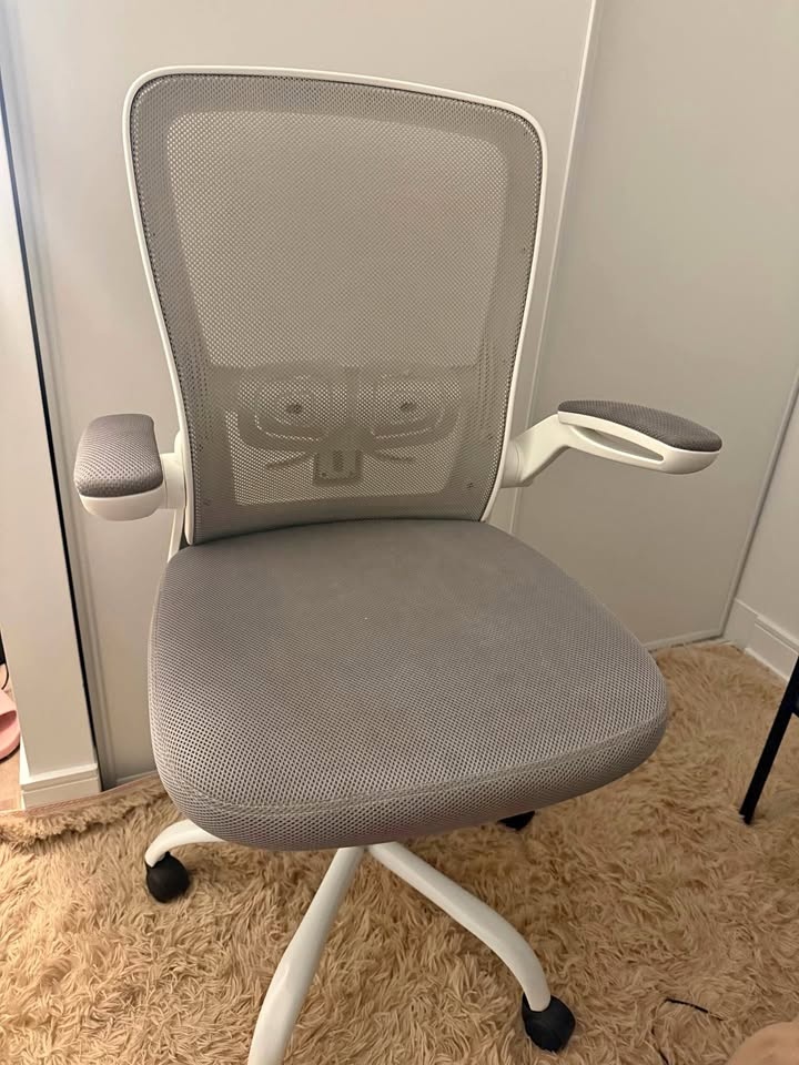 Work / office chair