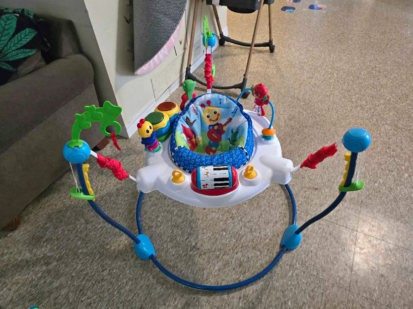 Baby Einstein Neighborhood Symphony Activity Jumper