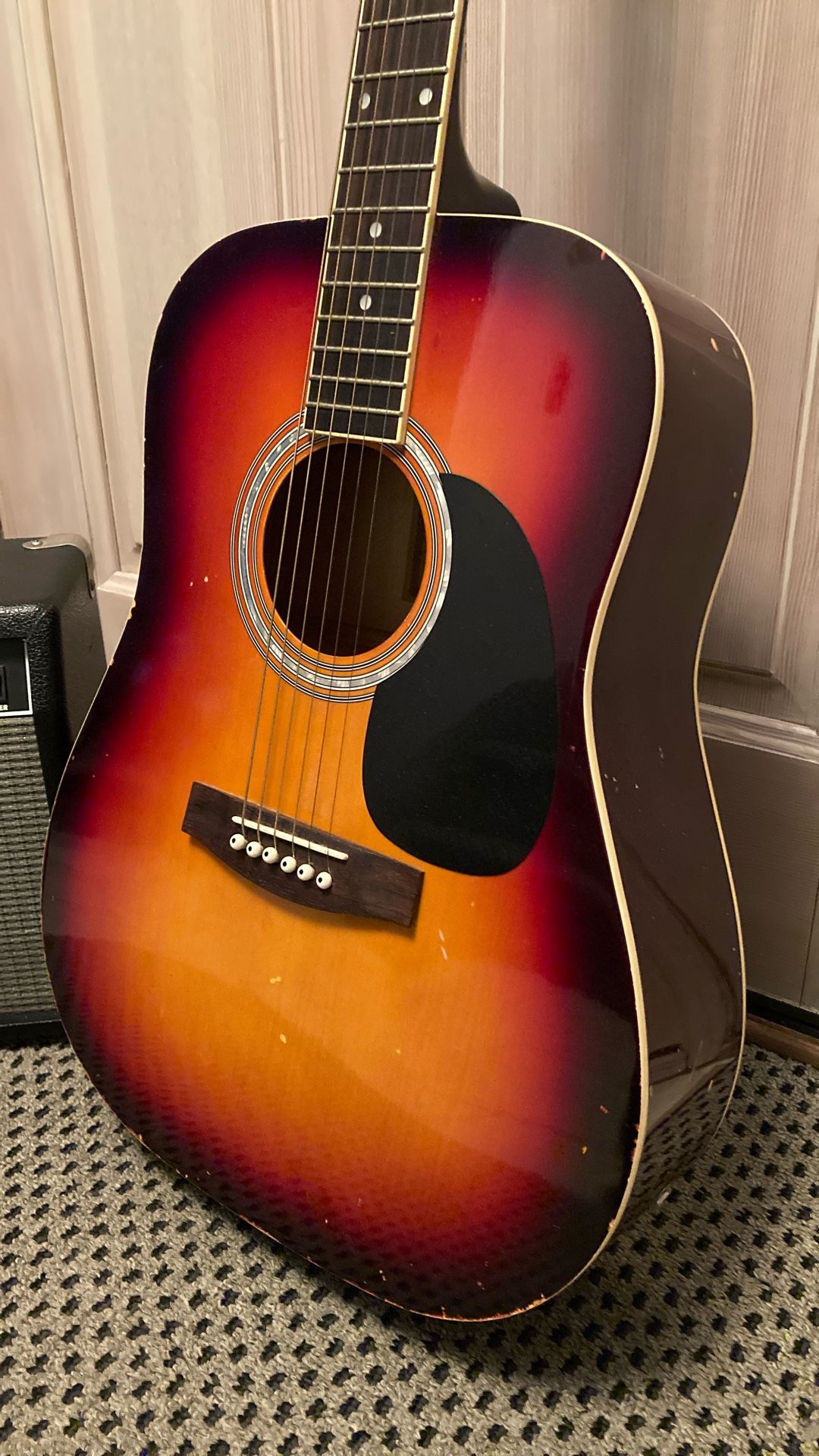 Acoustic Electric Guitar