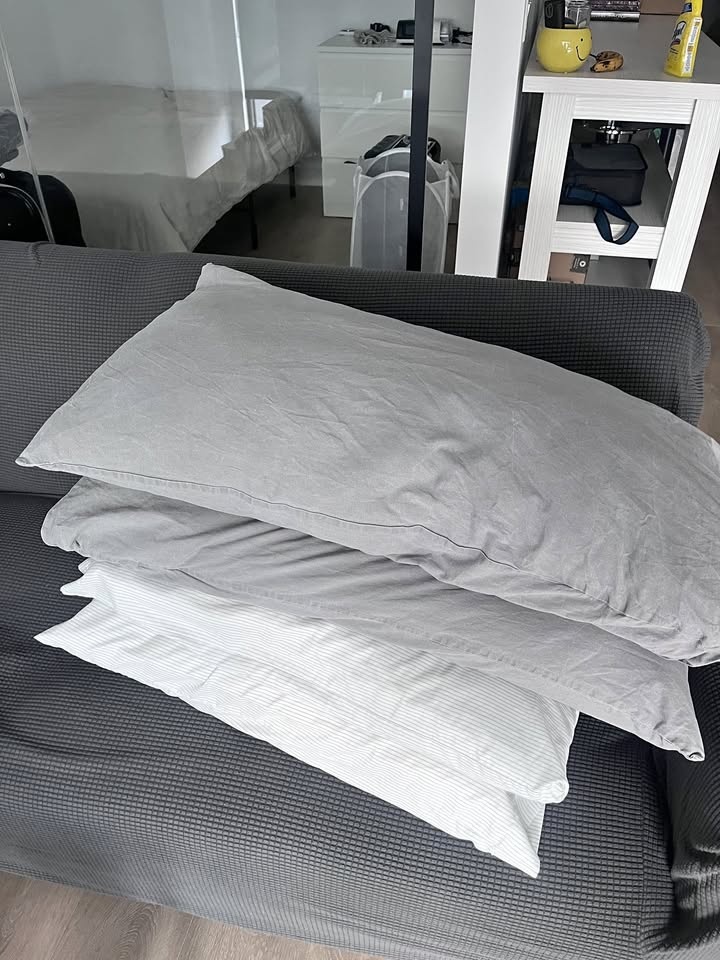 Zinus 6 inch Mattress + Ikea Pillows