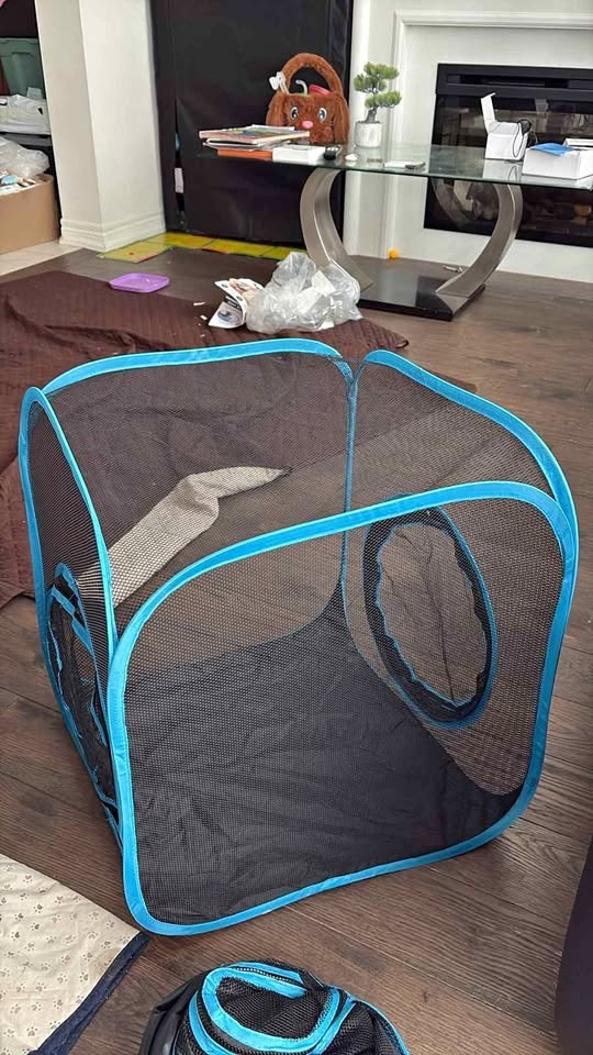 Cat Playpen