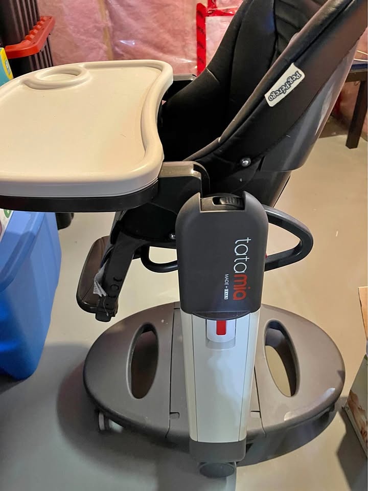 Peg Perego Tatamia High Chair