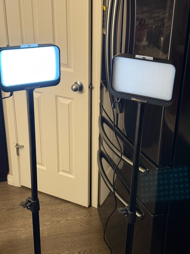 UBeesize Video Lighting Kit