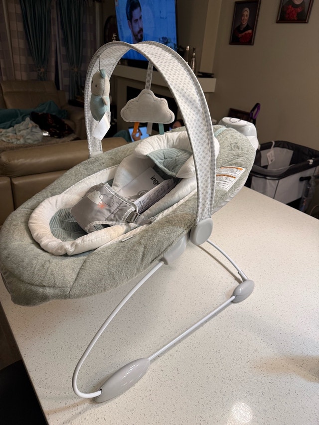 Ingenuity SmartBounce Automatic Bouncer