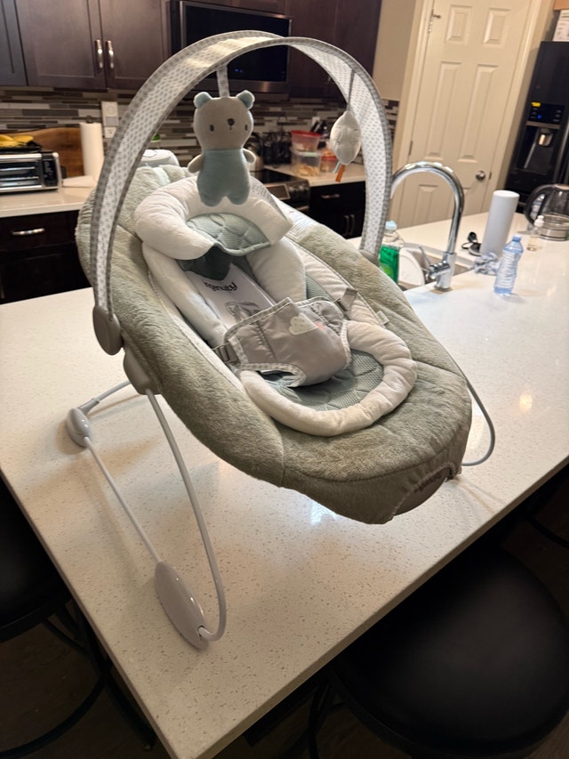 Ingenuity SmartBounce Automatic Bouncer - photo 3