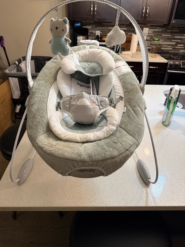 Ingenuity SmartBounce Automatic Bouncer - photo 4
