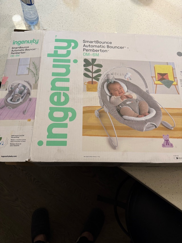 Ingenuity SmartBounce Automatic Bouncer - photo 5