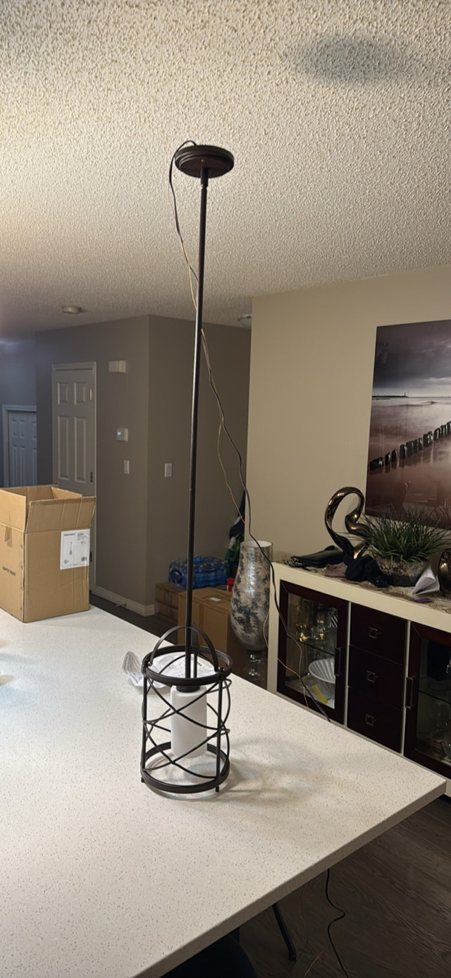 Used Pendant Light - Bronze Cage Style