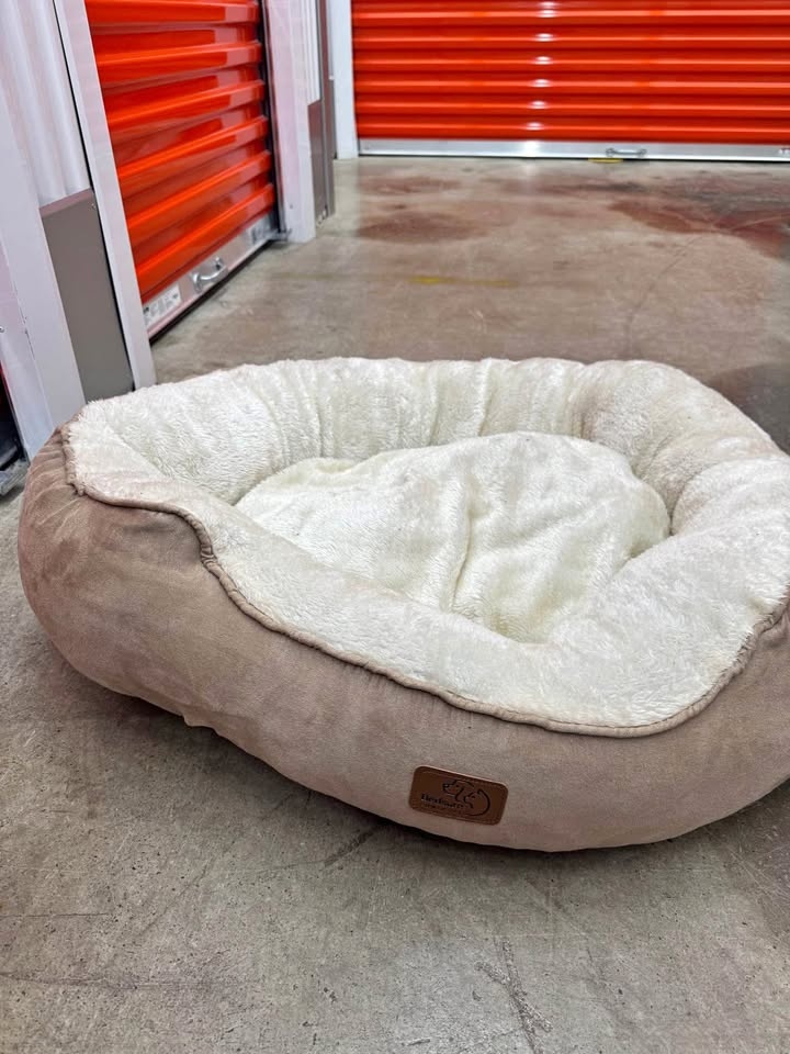 Bedsure Comfy Sofa Bed