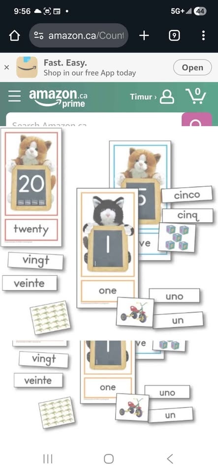 The Counting Cats Set - 48 Cards (French & Spanish) - photo 2