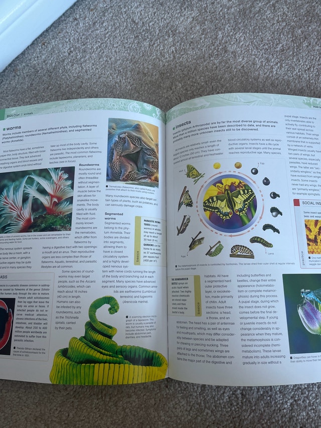 National Geographic Science Book - photo 2