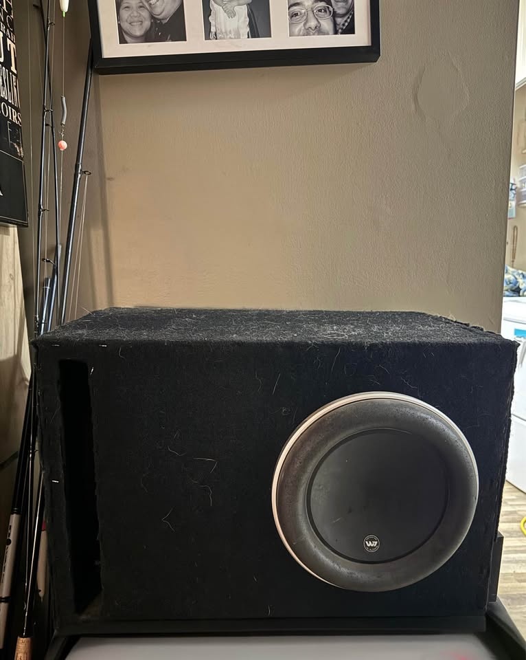 JL Audio 10W7-3 Subwoofer with Custom Box - photo 2