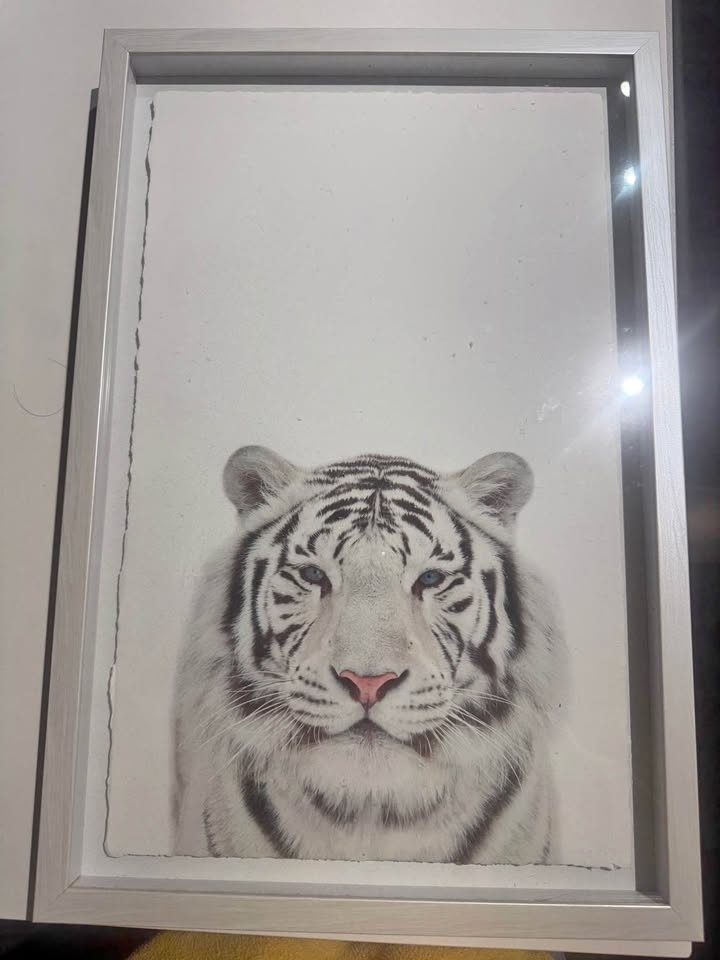 Picture and frame for Sale