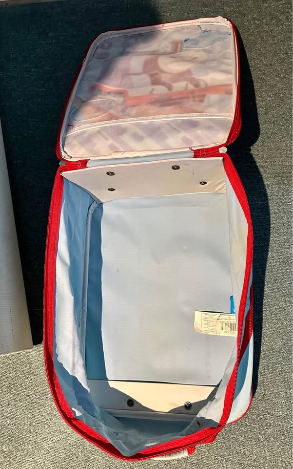 Thomas the Steam Engine Luggage - photo 3