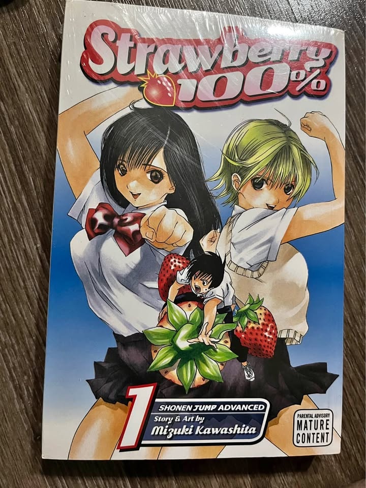 Strawberry 100 Manga Vol 1