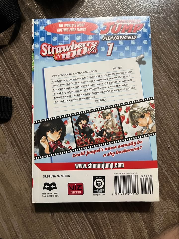 Strawberry 100 Manga Vol 1 - photo 2