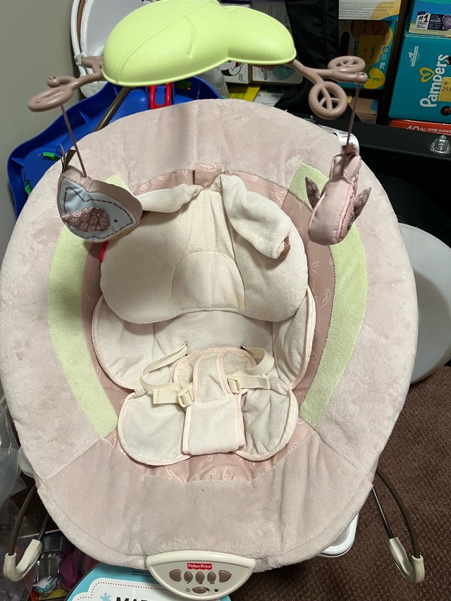 Fisher-Price My Little Snugabunny Deluxe Bouncer