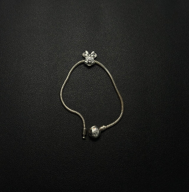 Pandora X Disney Charm