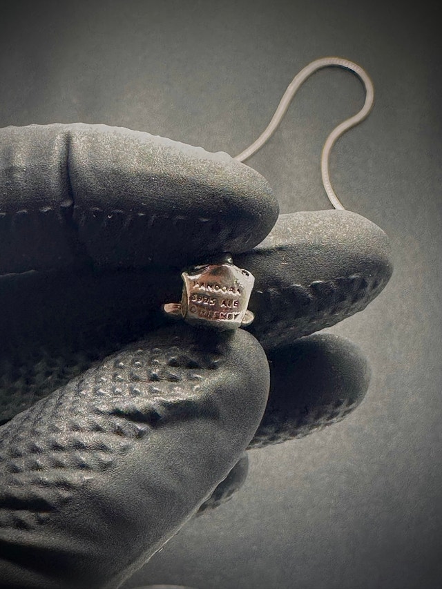 Pandora X Disney Charm - photo 3