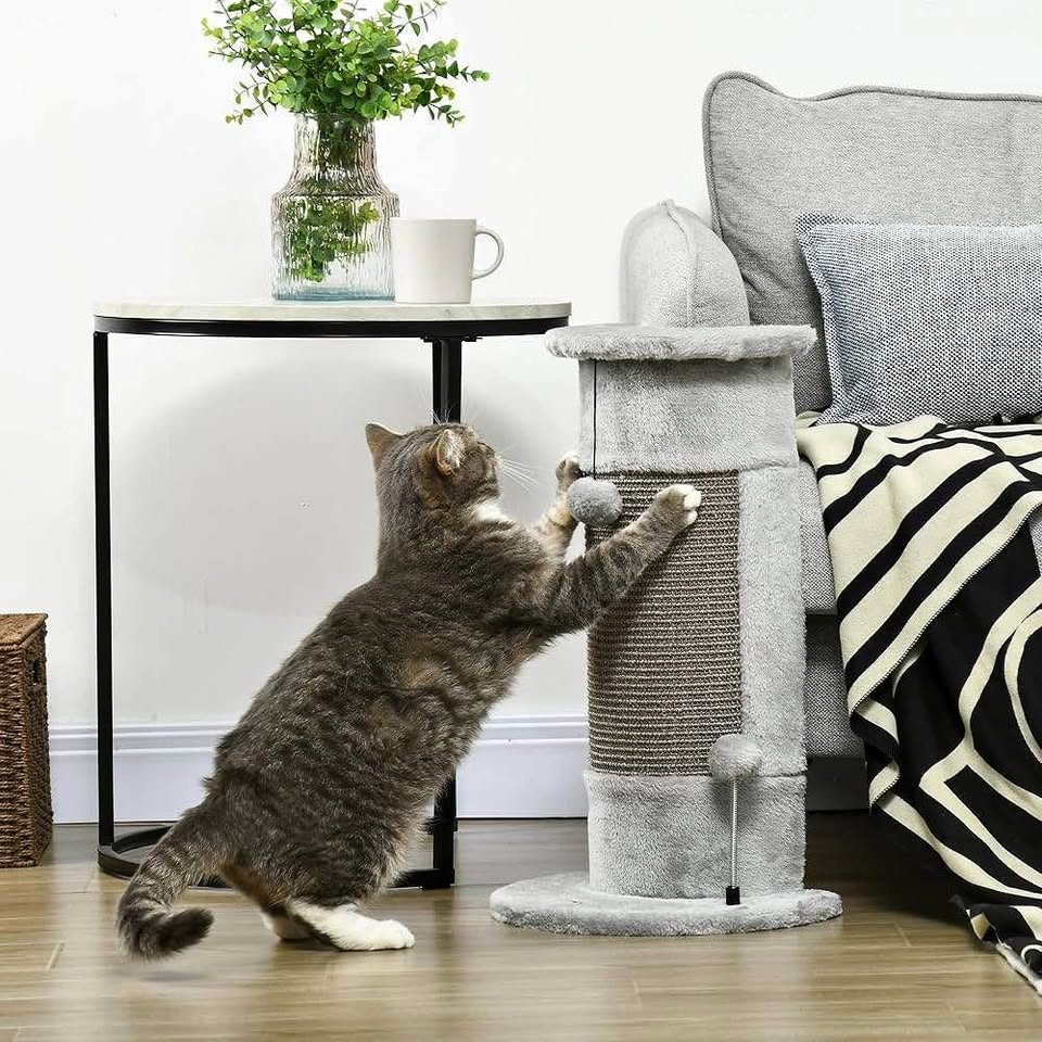Cat scratching post - Brand new