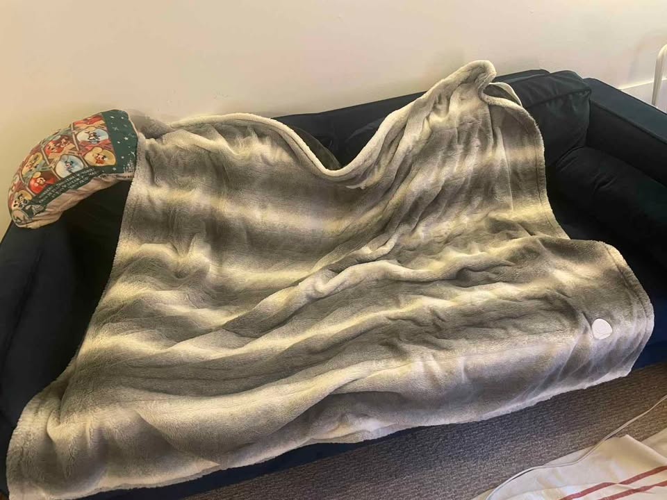 Electric Blanket - Throw Size - photo 2